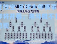 足球大师赛事即将开幕，黑马概不容忽视