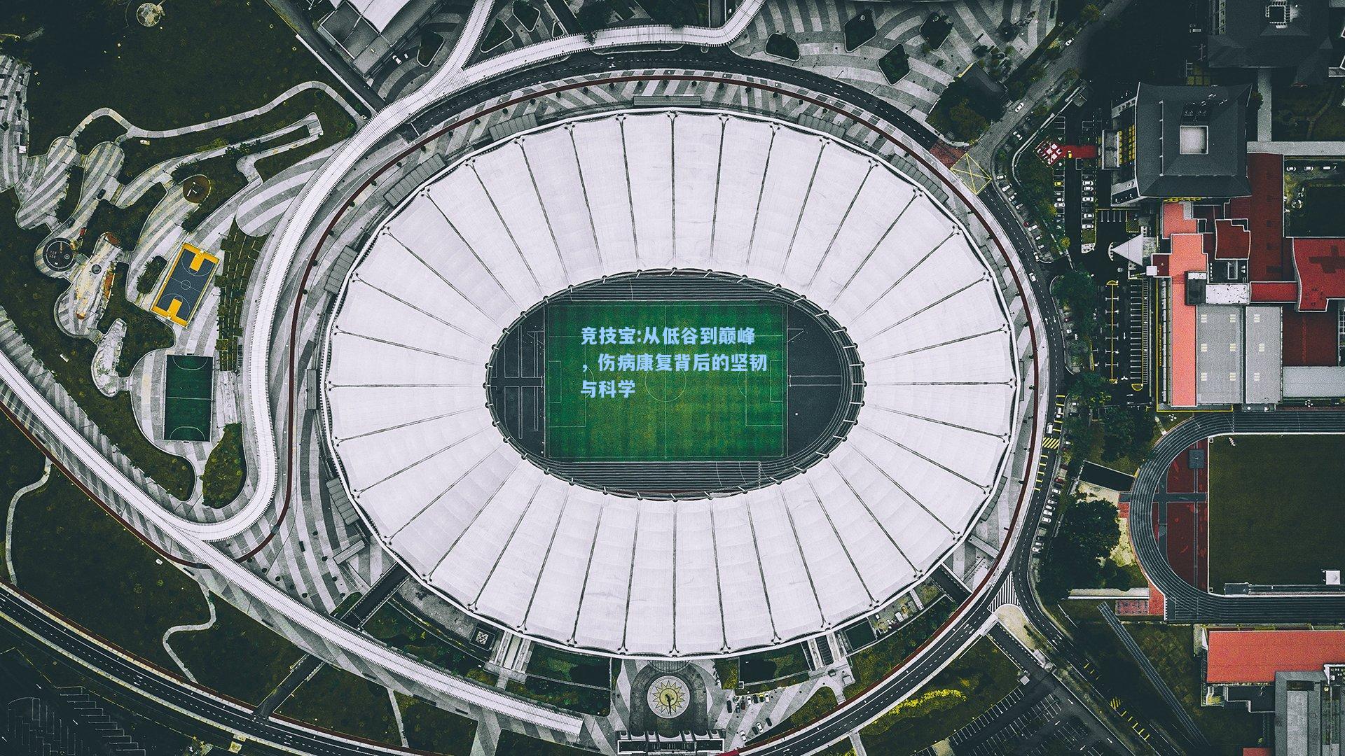 从低谷到巅峰，伤病康复背后的坚韧与科学